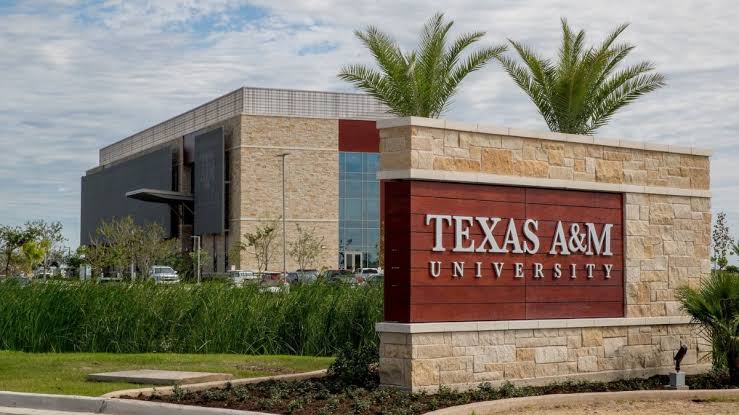 Texas Universities with Full Scholarships